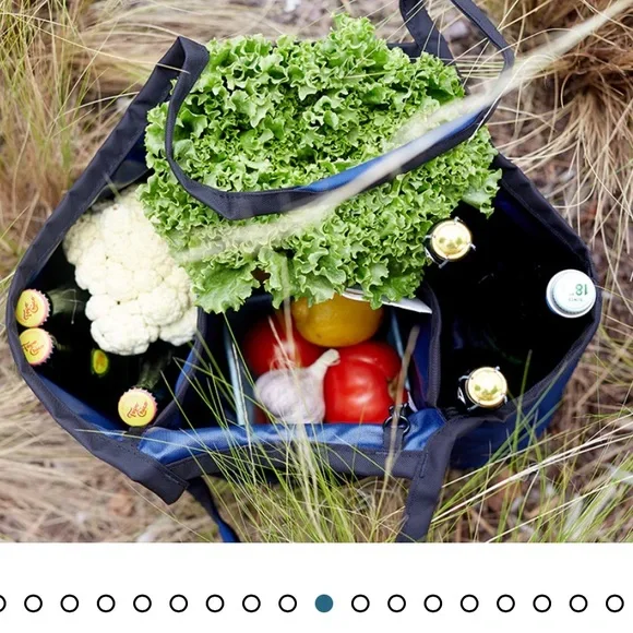 Tom Bihn Truck Tote - Picture 10 of 16